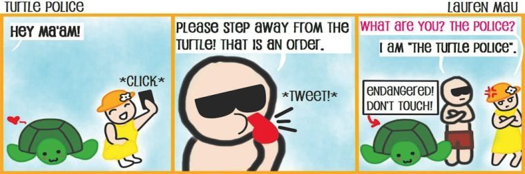 Turtle Police