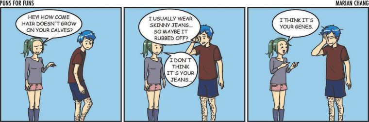 Puns for funs