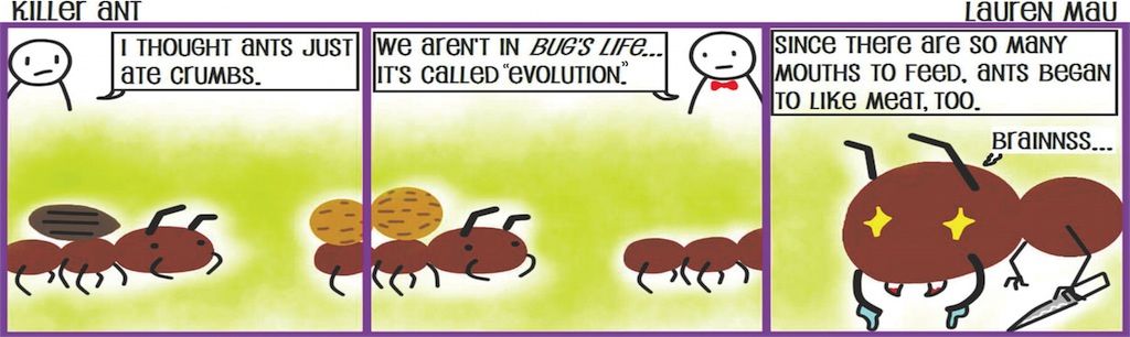 Killer Ant