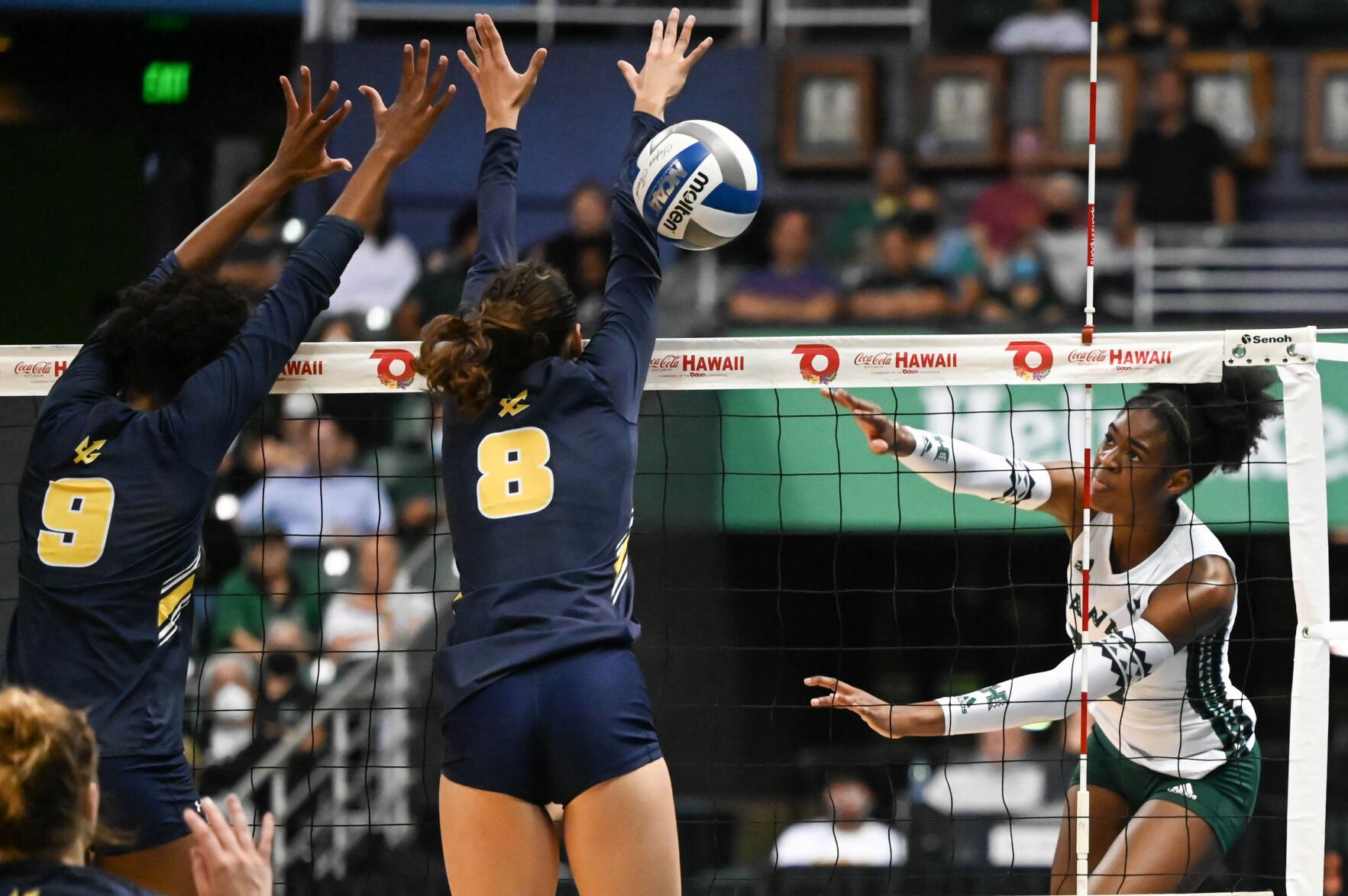 Rainbow Wāhine Volleyball Takes Down UC San Diego | Sports | Manoanow.org