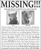 MISSING!!! Dogs