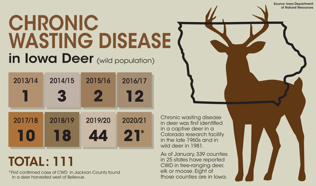 chronic wasting graphic