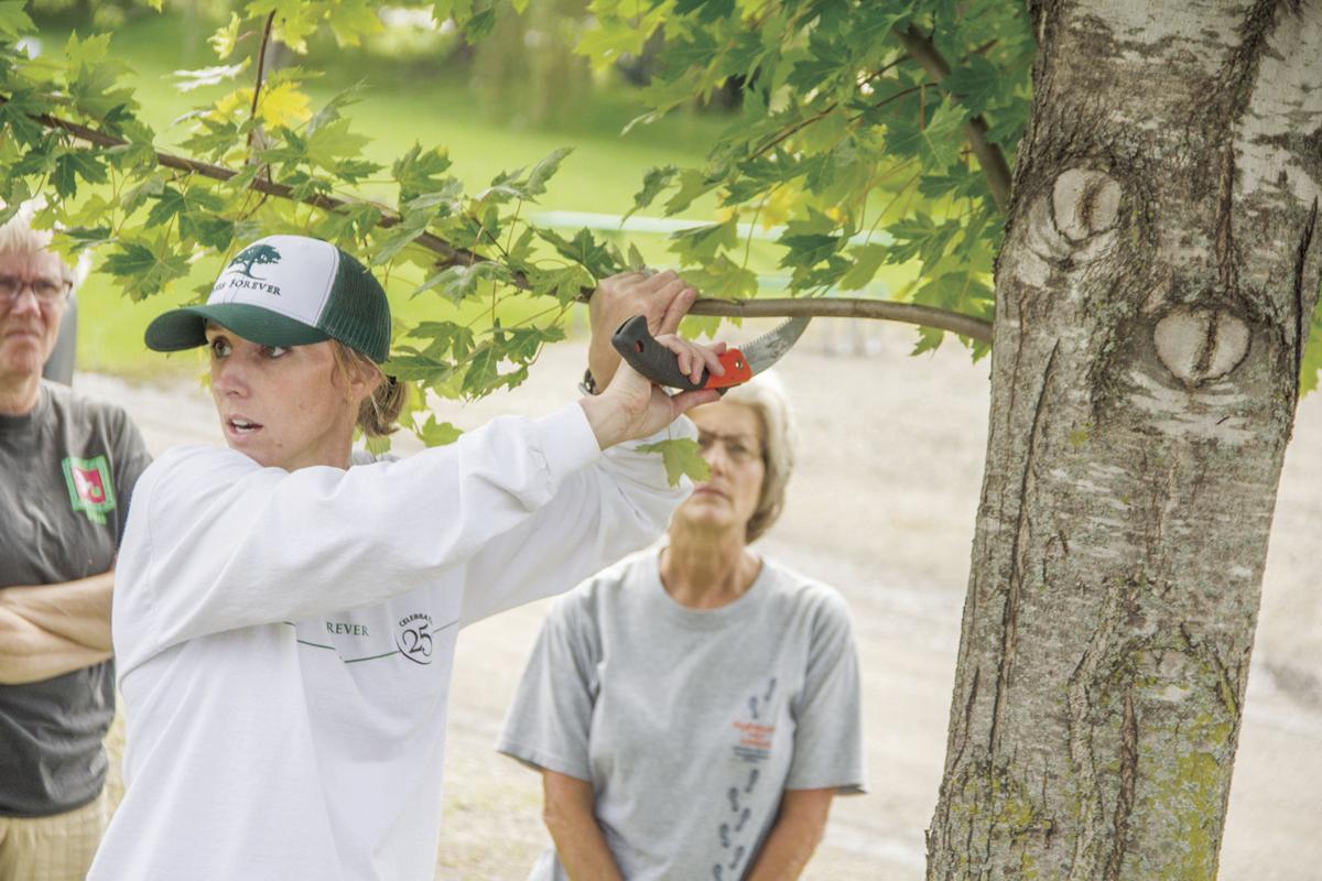 TreePruning_Swihart2.jpg