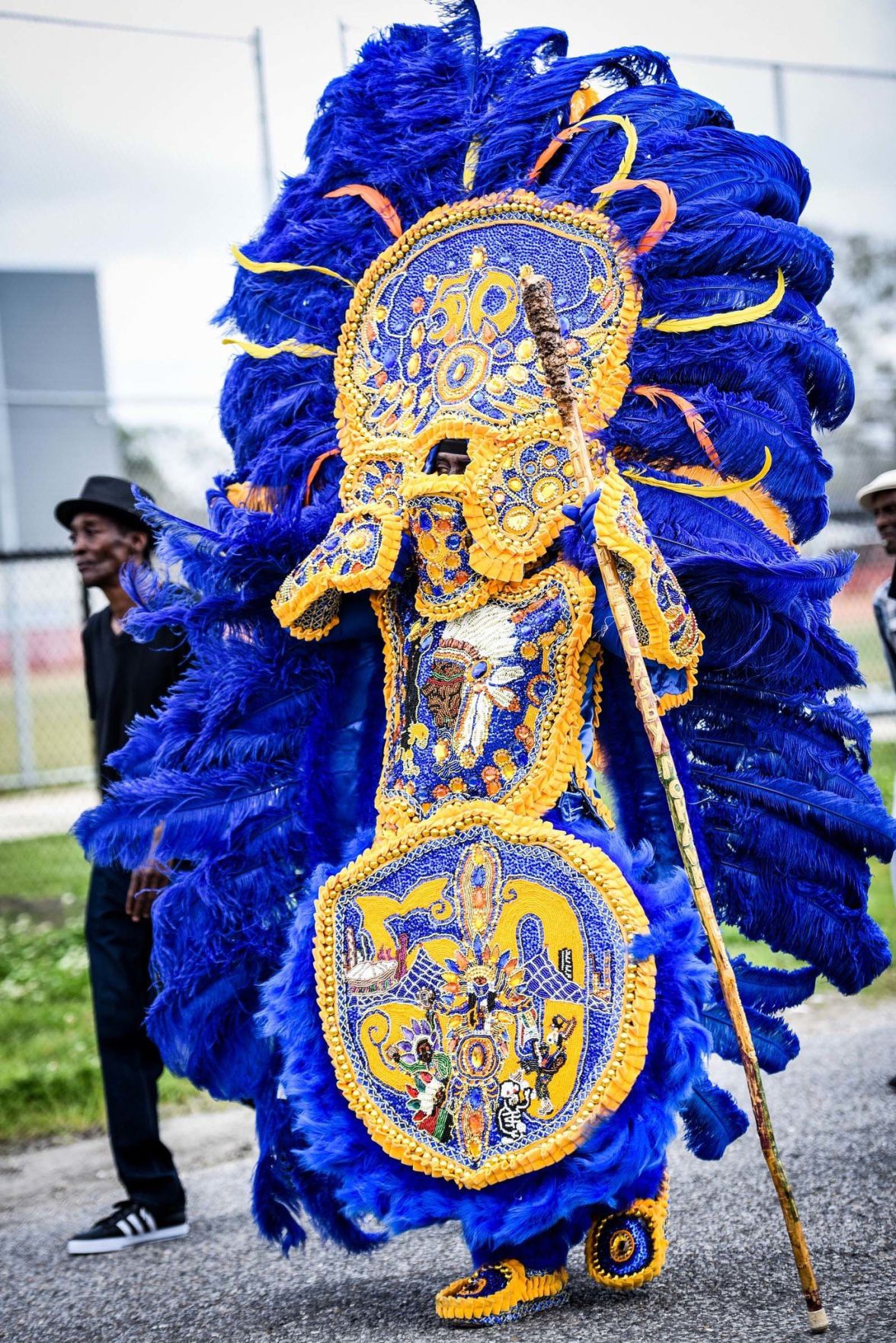 mardi gras indian shirt