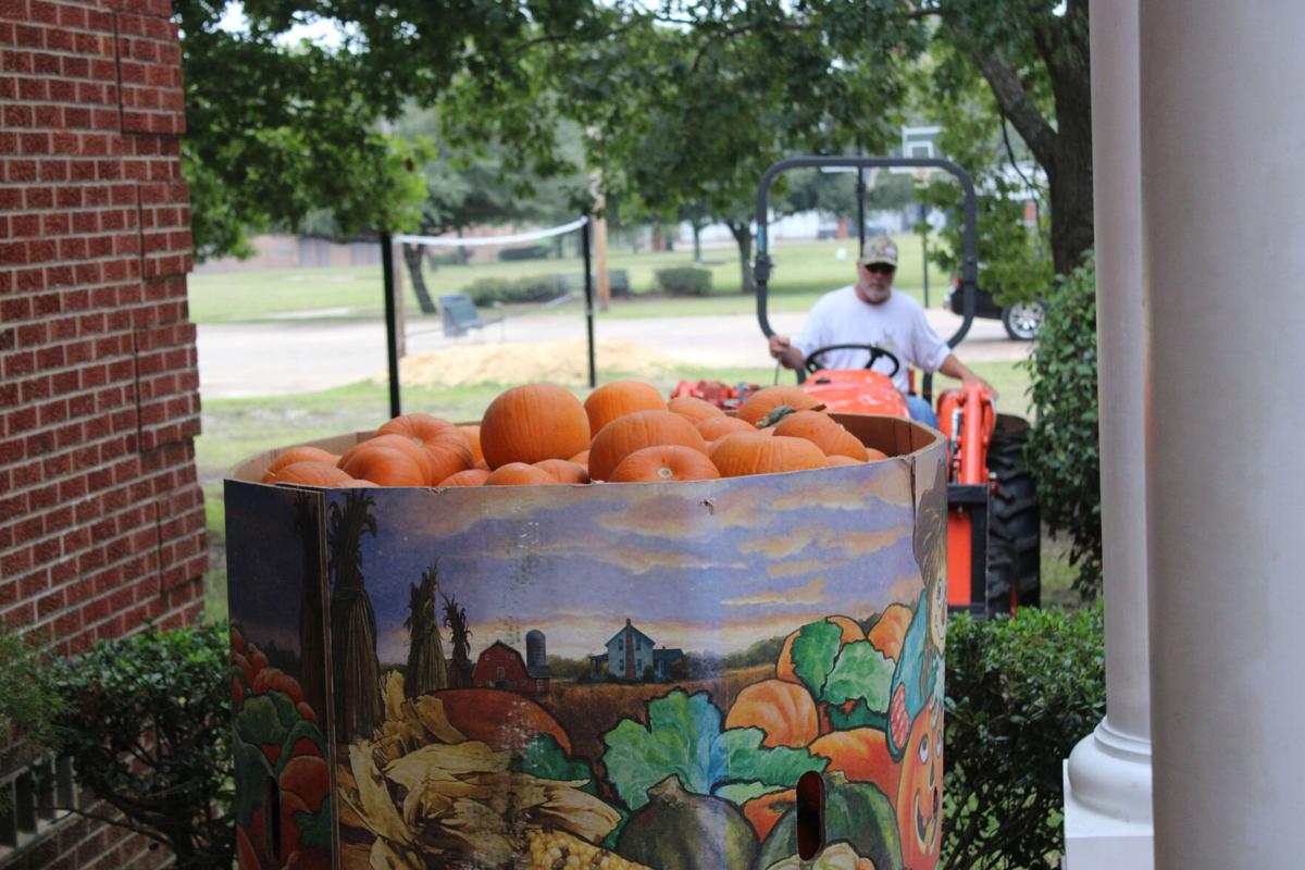 Pumpkins
