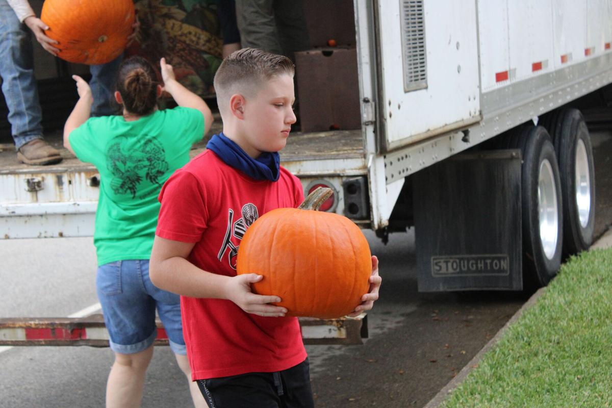 Pumpkins