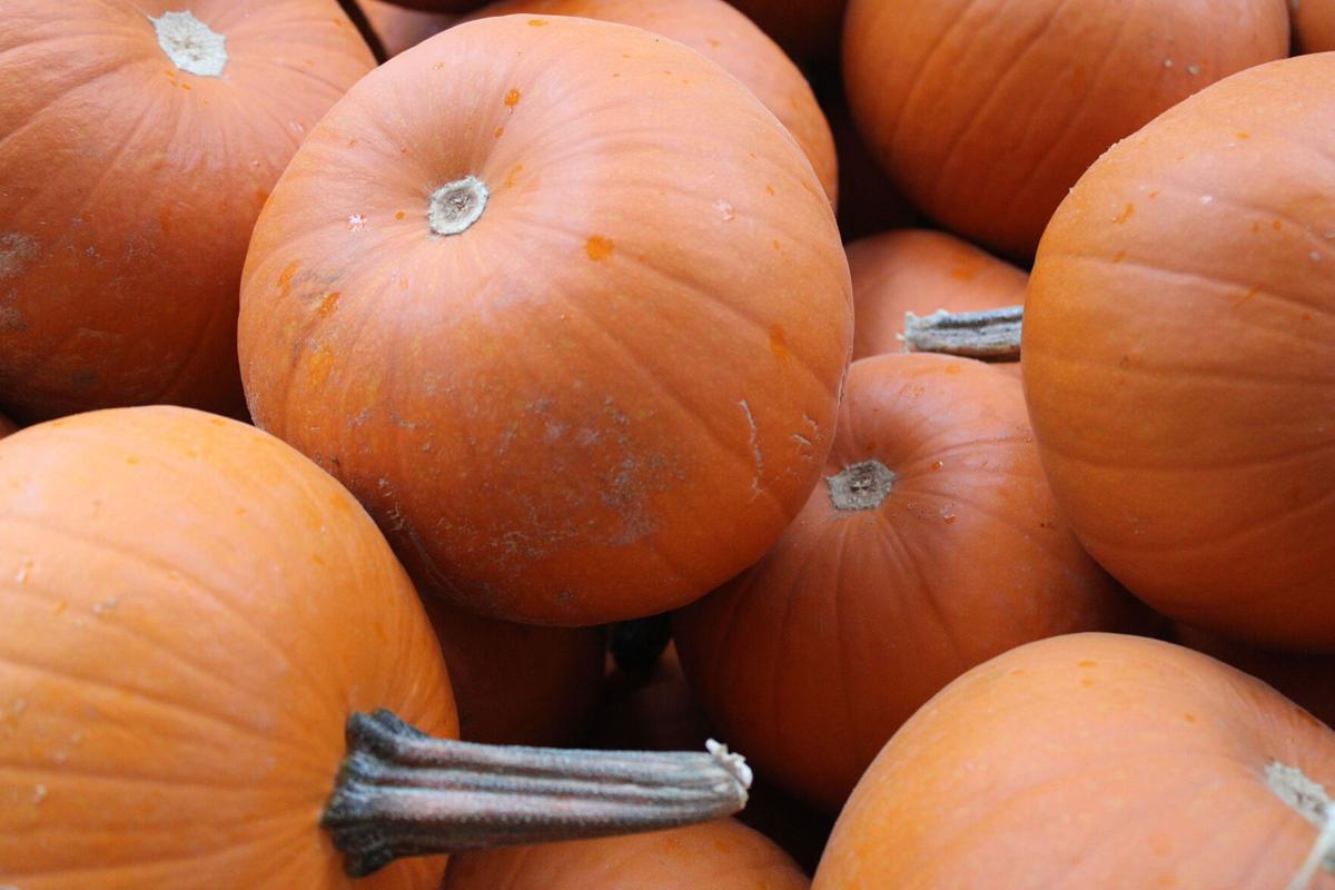 Pumpkins