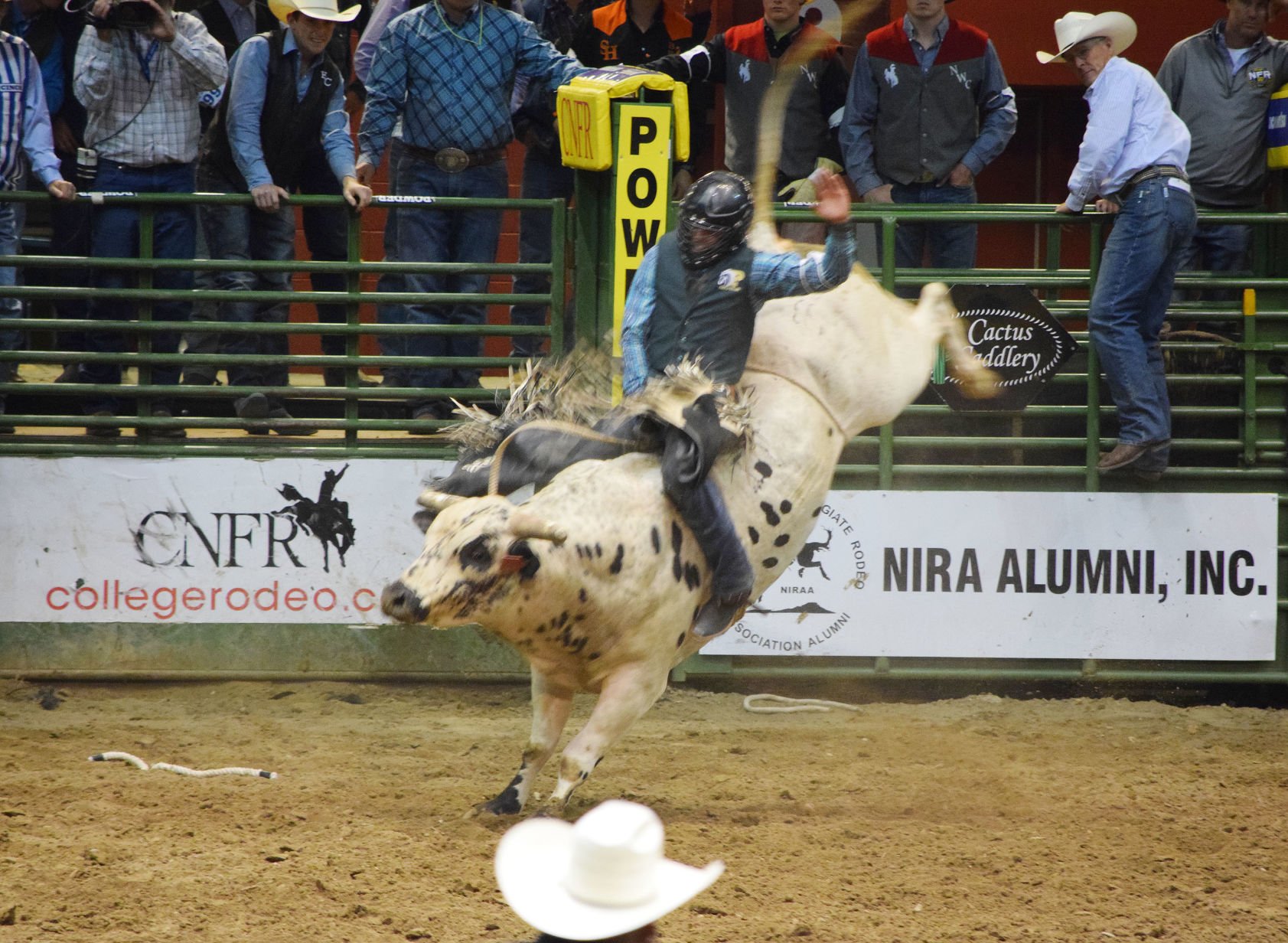 Panola College Men's Rodeo Team Wins National Championship | Lifestyles ...