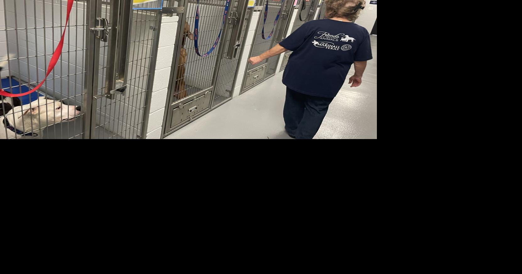 Marshall Insider: Marshall Pet Adoption Center celebrates DOGust | News