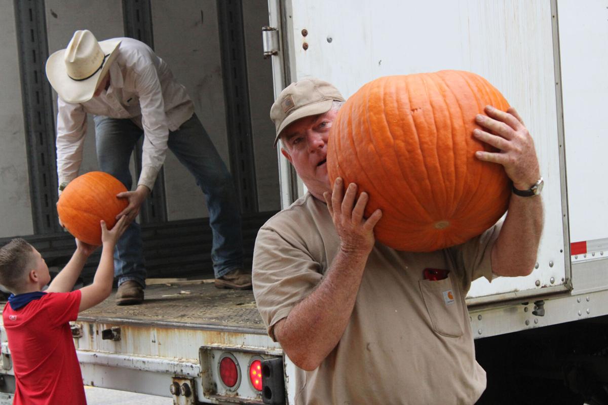 Pumpkins