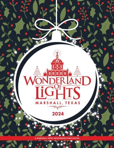 Wonderland Of Lights - 2024