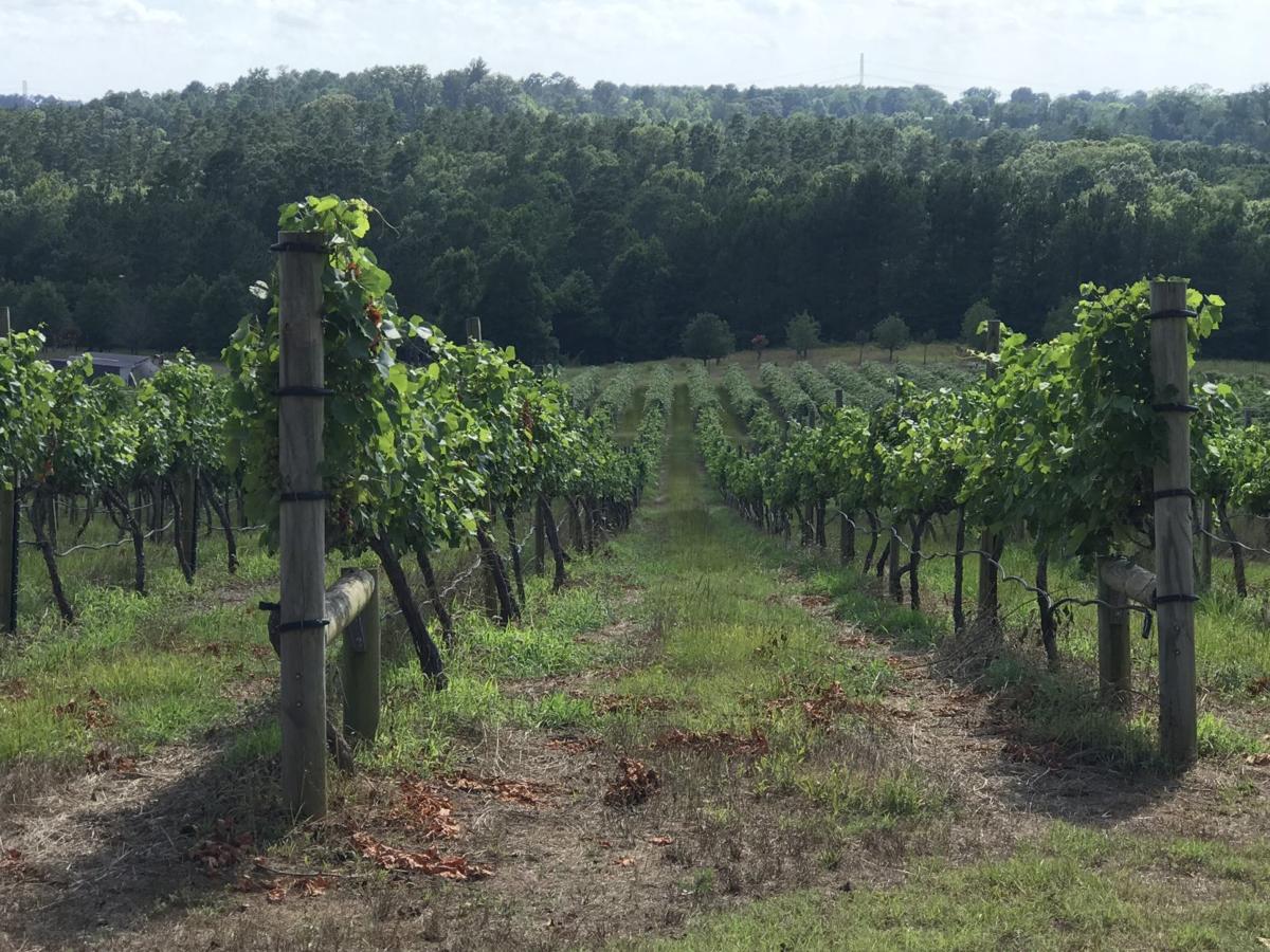 Harleton Winery Co Owner Living Out The American Dream After Leaving South Africa News Marshallnewsmessenger Com