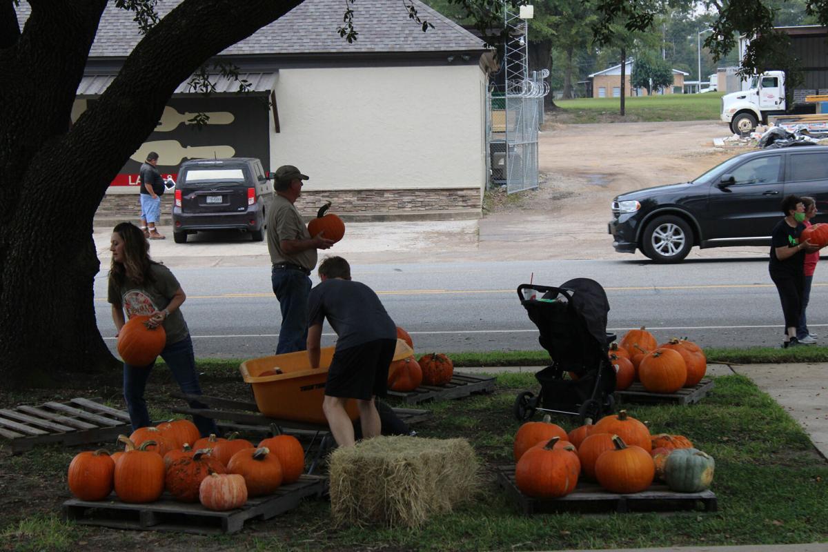 Pumpkins