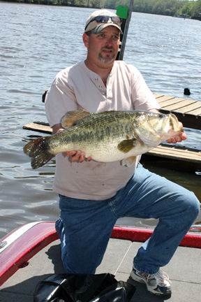 Record-setting bass released back to Caddo | Sports ...