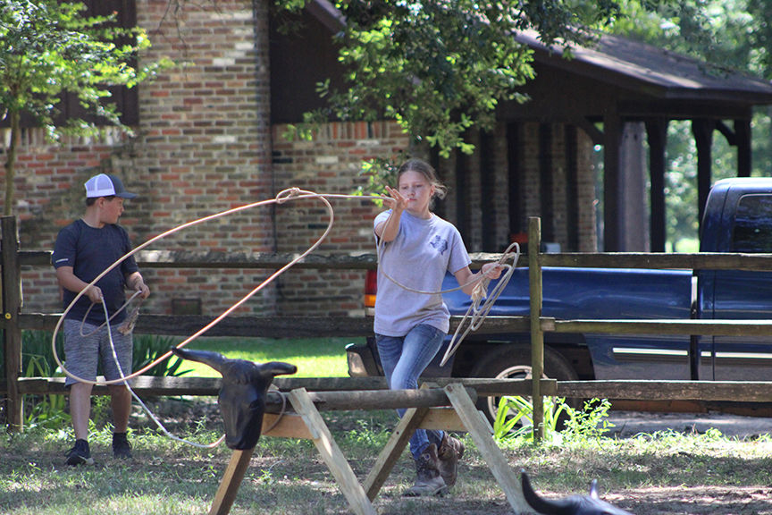 Horses Take Center Stage At Dayspring Therapeutic Equestrian Center S Summer Camps Features Marshallnewsmessenger Com