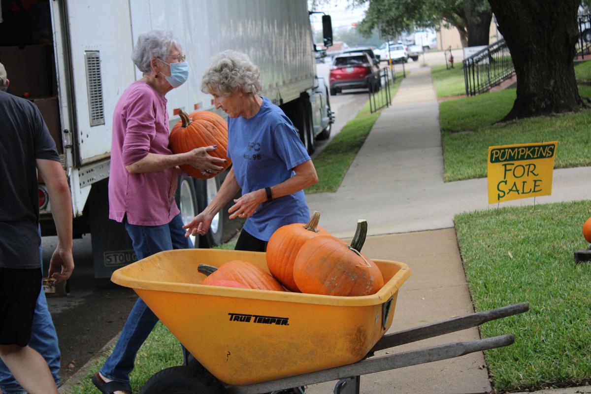 Pumpkins