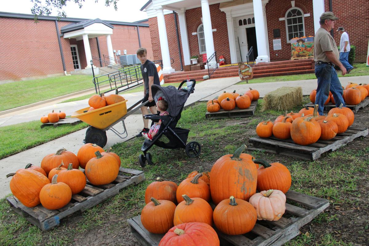 Pumpkins