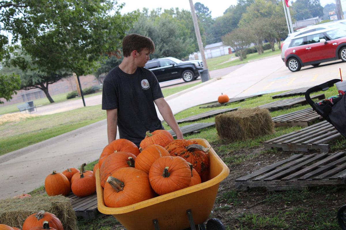 Pumpkins
