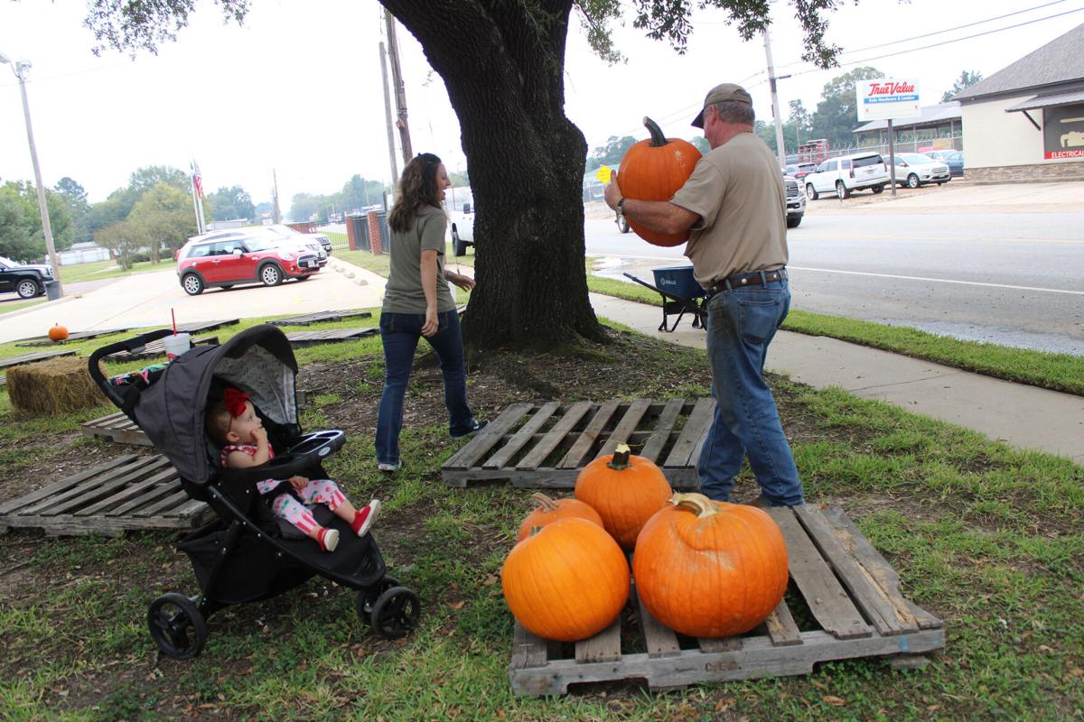 Pumpkins