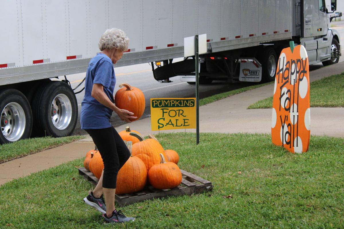Pumpkins