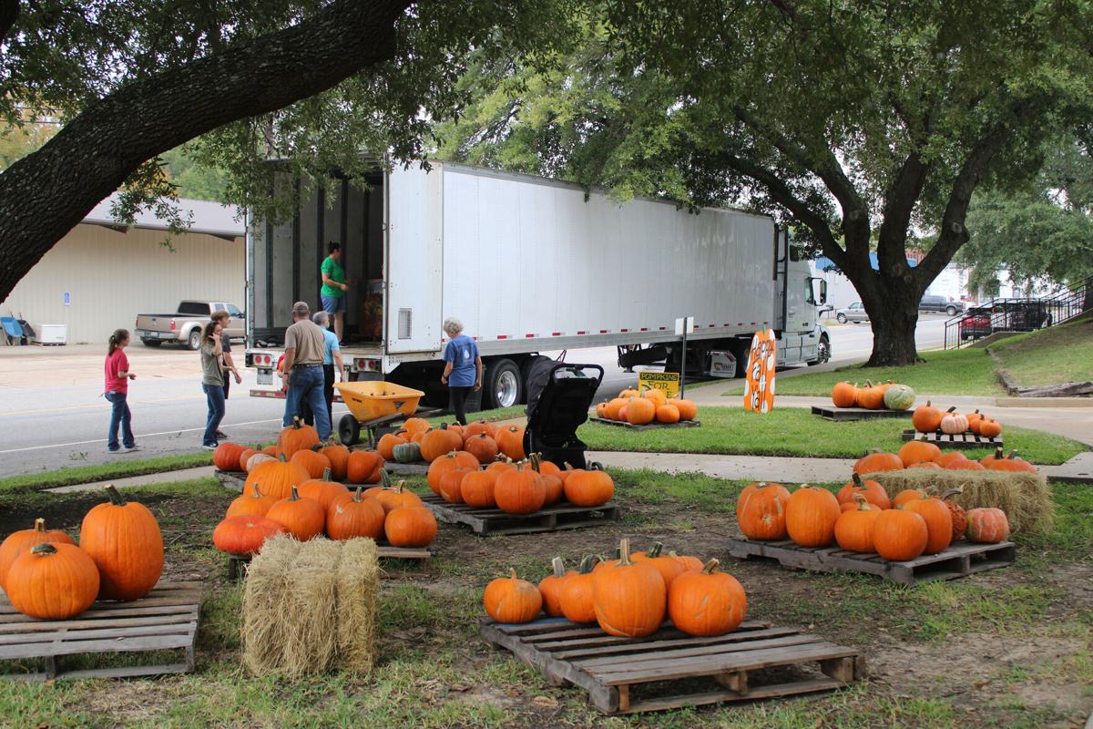 Pumpkins