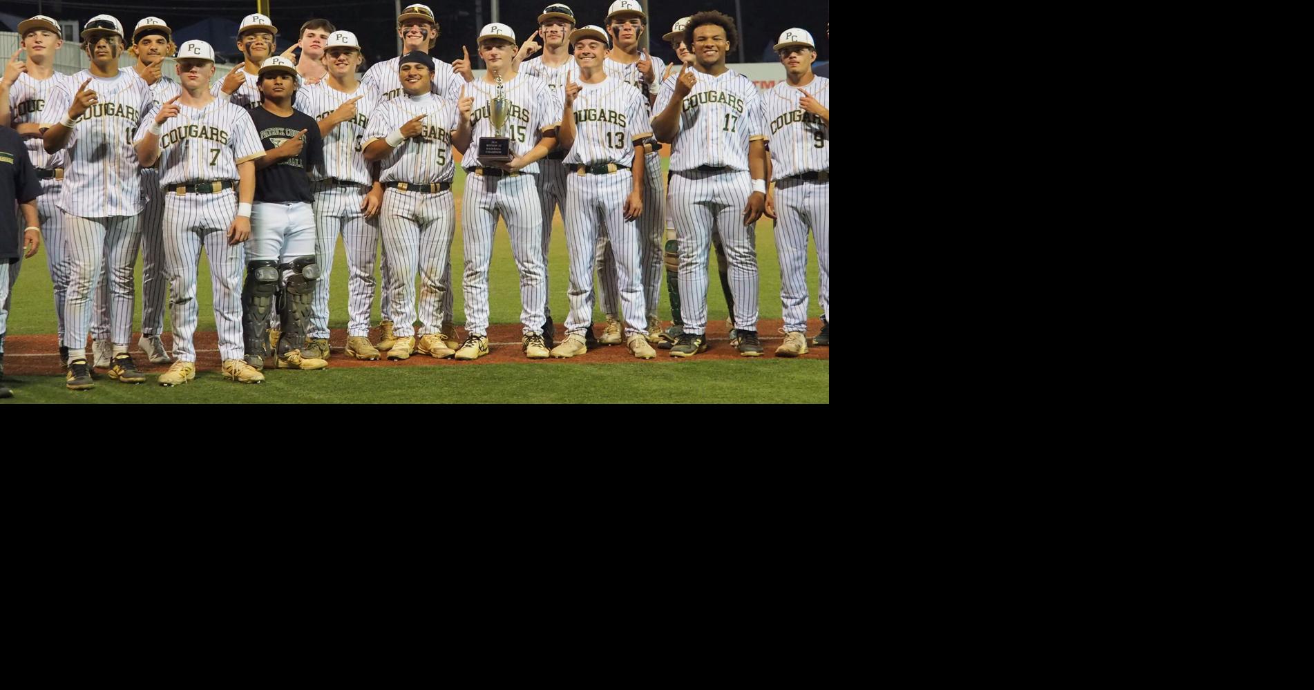 High School Baseball: Patrick County defeats Dan River for first region championship in 40 years Jun 5, 2026 1 hr ago