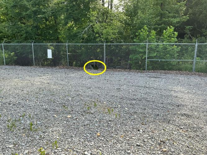 Police investigating copper theft at substation