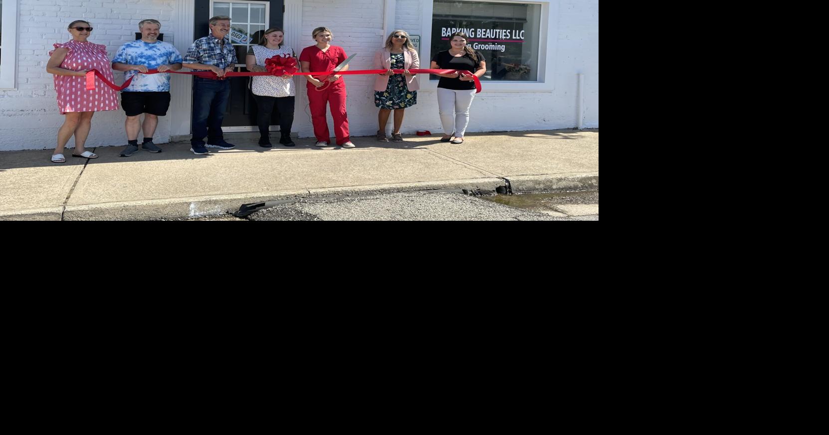 Barking Beauties opens for dog grooming