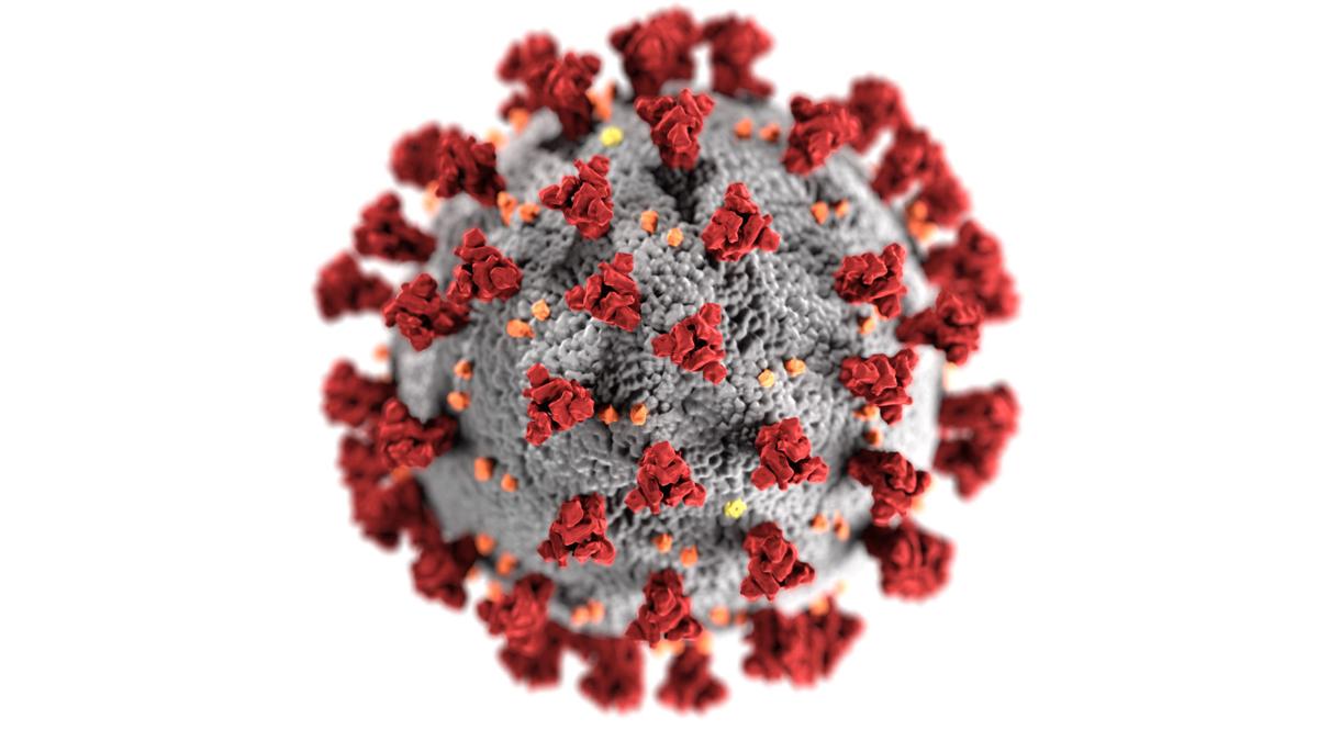 5e8cfe06c26cd.preview_virus.jpg