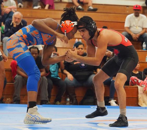 Bassett wins Piedmont District wrestling title