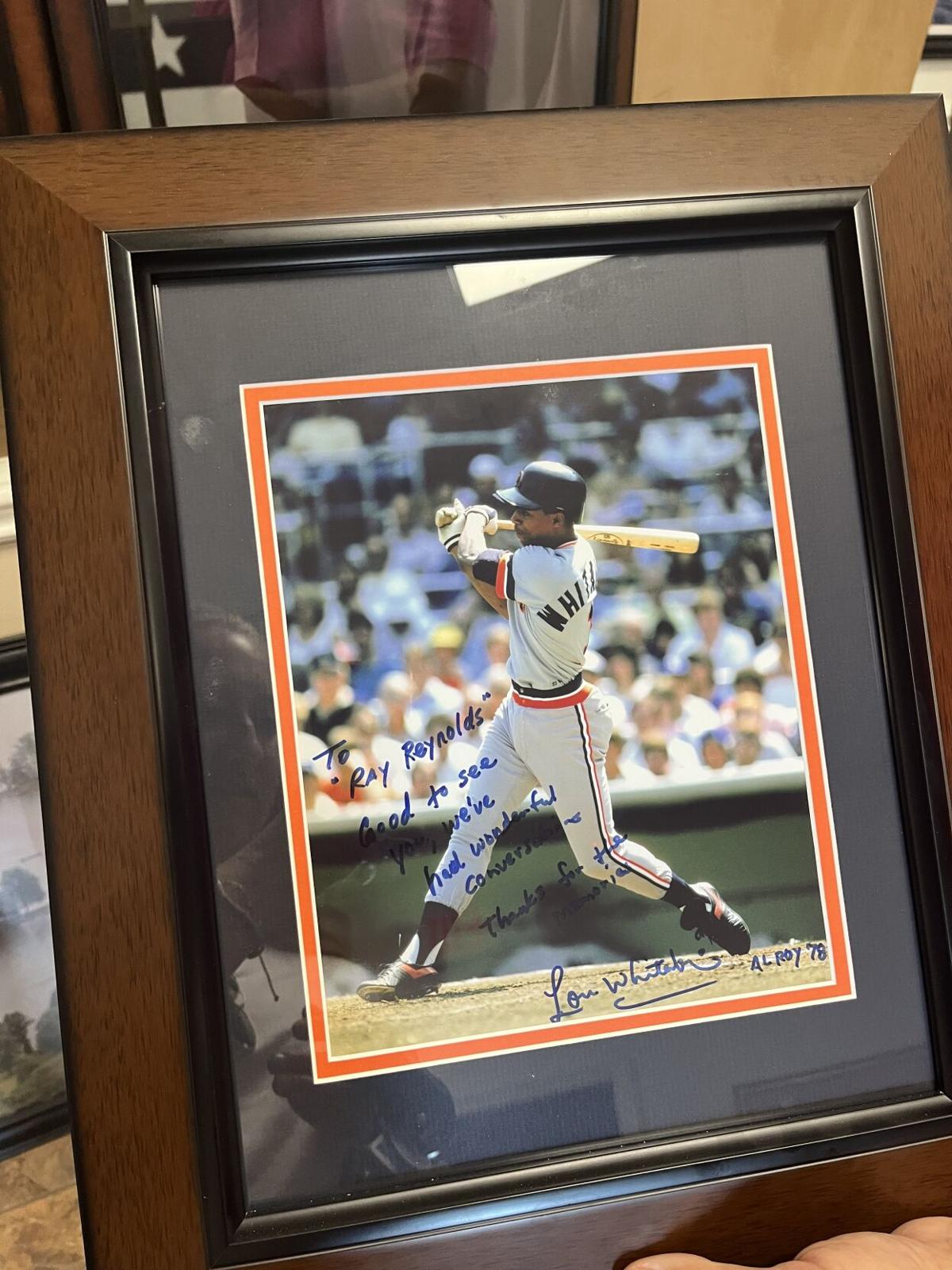 Framed Alan Trammell & Lou Whitaker Detroit Tigers Baseball 12x15 Photo  Collage - Hall of Fame Sports Memorabilia