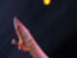 So You Think You Can Dance Season 17 Canceled For Summer 2020 Television Martinsvillebulletin Com Joining fan favorites nigel lythgoe and mary murphy at the judging table for auditions and the academy the academy callbacks continue, as the talented dancers are challenged to learn and perform multiple styles of dance and vie for a spot in the top 10. so you think you can dance season 17