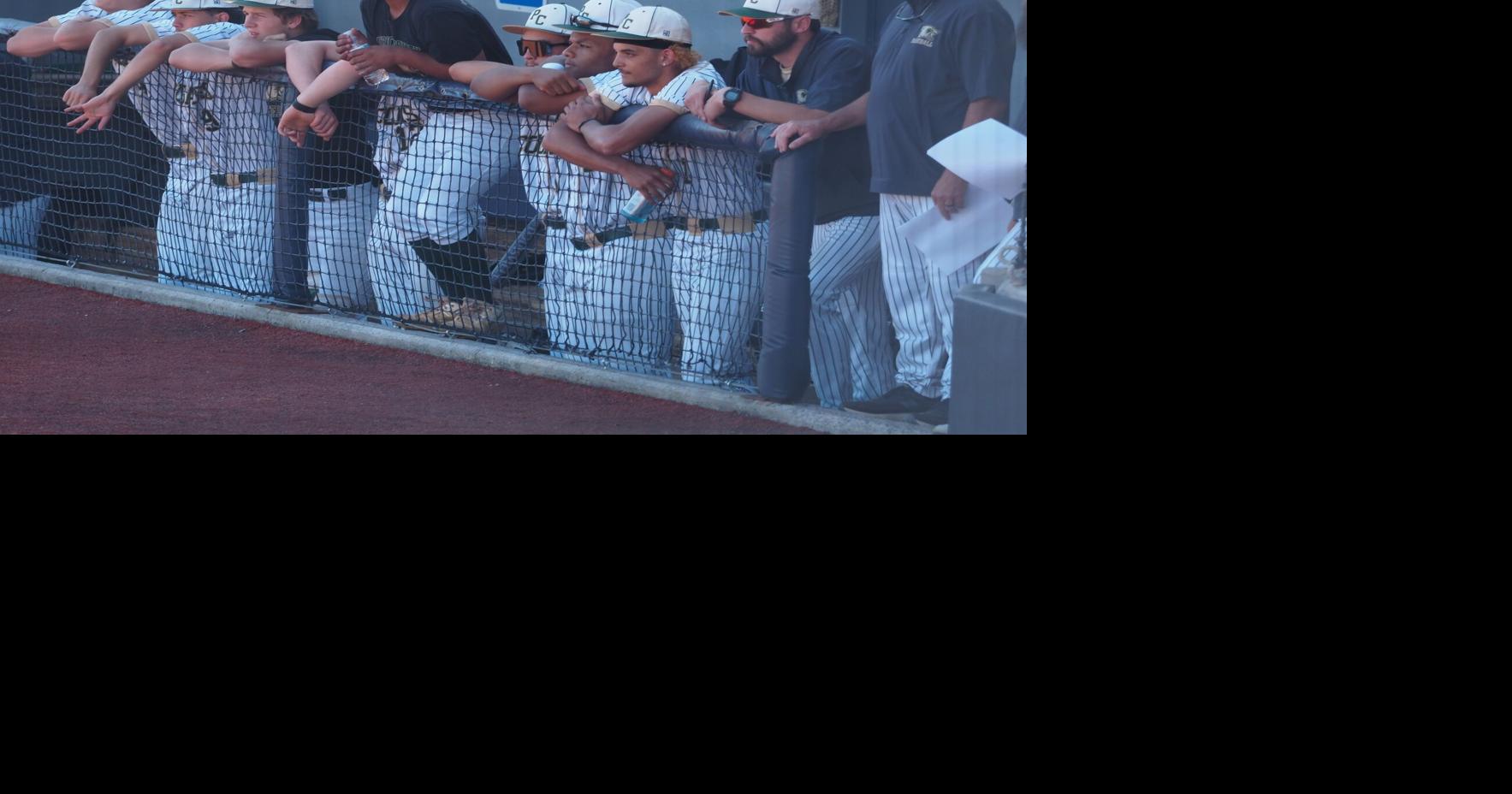 PHOTOS: Patrick County baseball wins region title Jun 5, 2026 14 mins ago