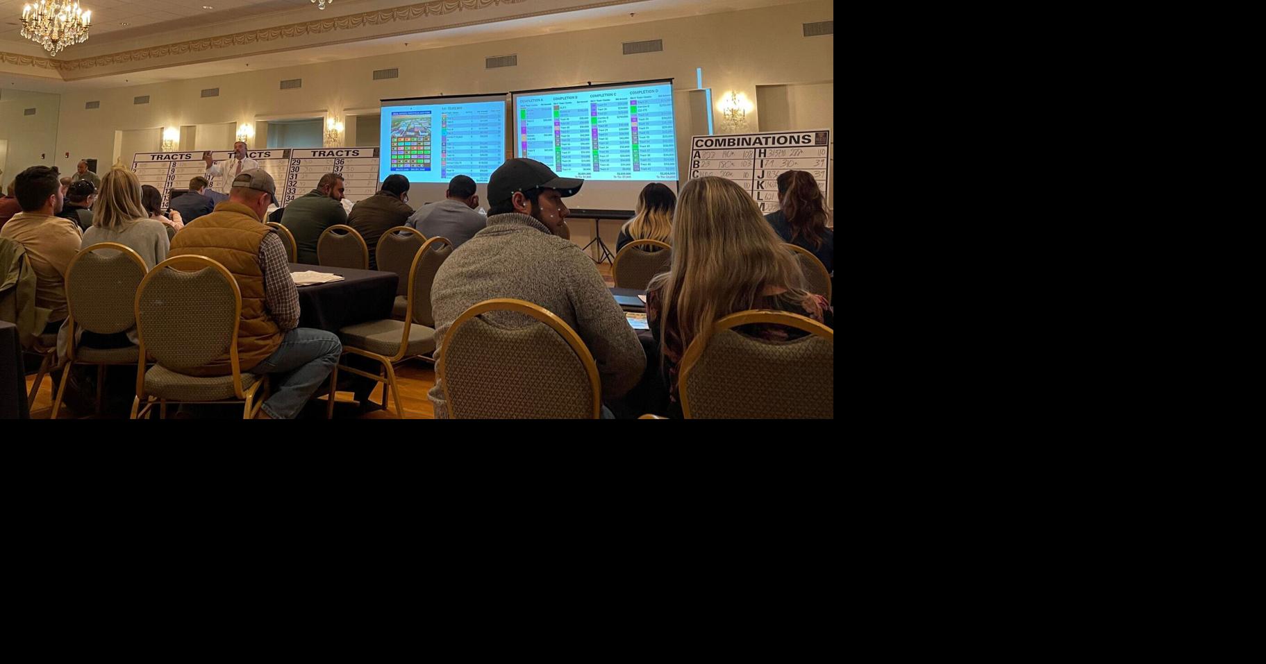 Balabanis estate auctioned off; Chatmoss ballroom packed for the sale