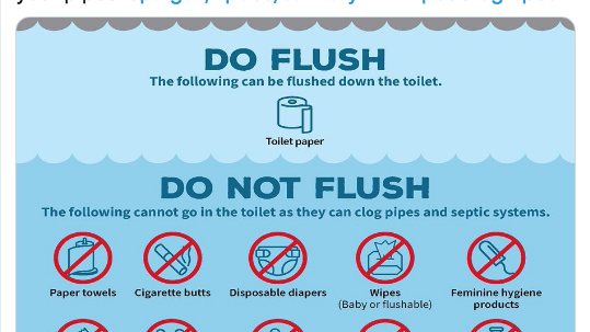 WATCH NOW: Don't rush to flush | Local News - Martinsville Bulletin