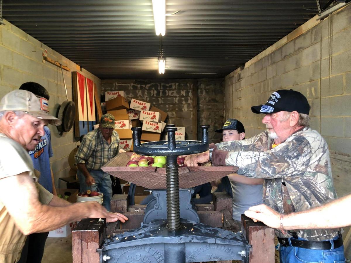 putting the apples
