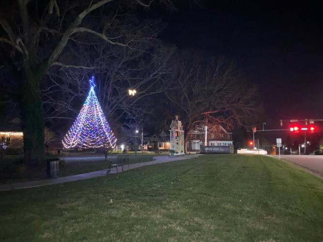 Piedmont Arts lights up the garden with spectacular Christmas tree