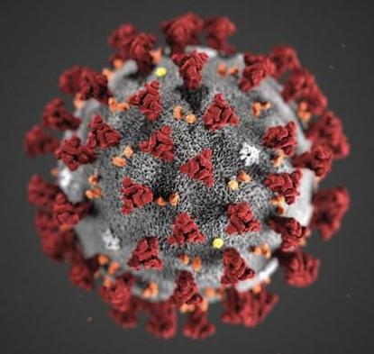 Coronavirus diagram
