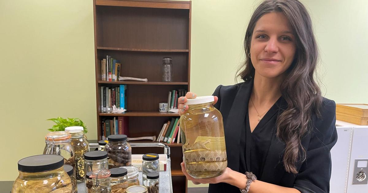 New VMNH herpetologist Arianna Kuhn does research and educational outreach with reptiles and amphibians New VMNH herpetologist Arianna Kuhn does research and educational outreach with reptiles and amphibians