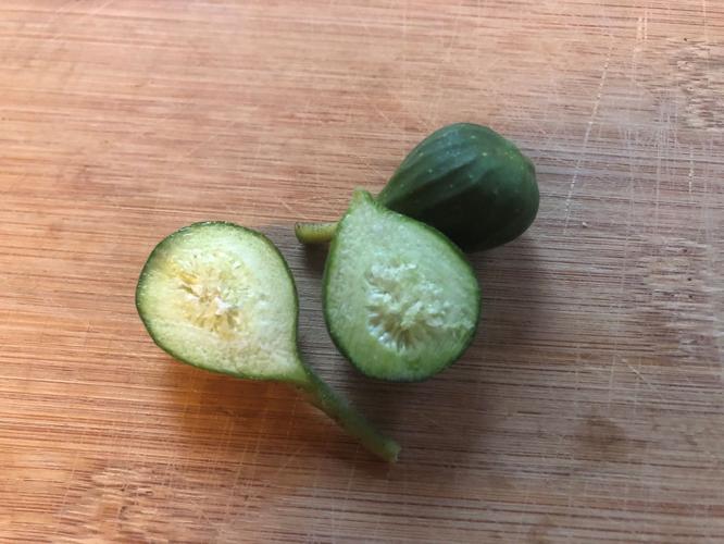 There's a lot to know about those figs growing on bushes and trees in