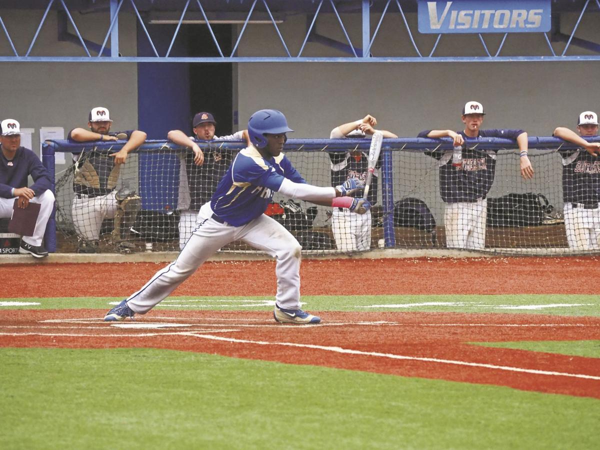 Phcc Baseball Rise In Success Adds To Rise In Draft Picks Sports