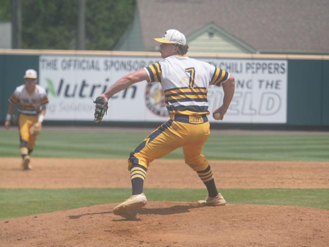 Carlisle baseball falls in state finals; The Chiefs lost to Walsingham