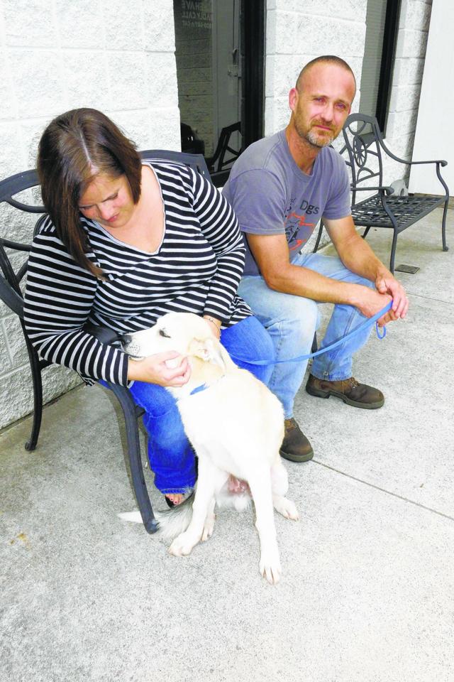 SPCA comes to aid of rescue Latest Headlines