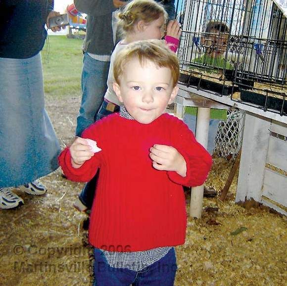 Patrick County fair in full swing