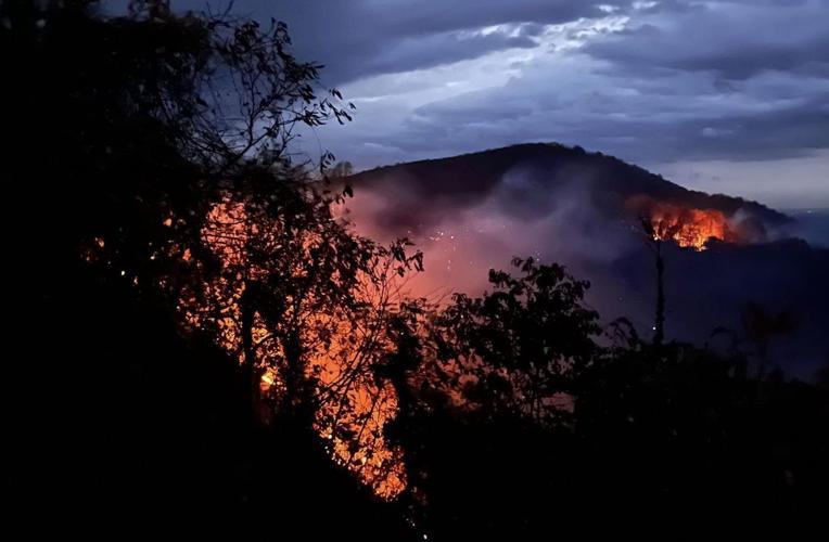 Wildfire breaks out in Woolwine