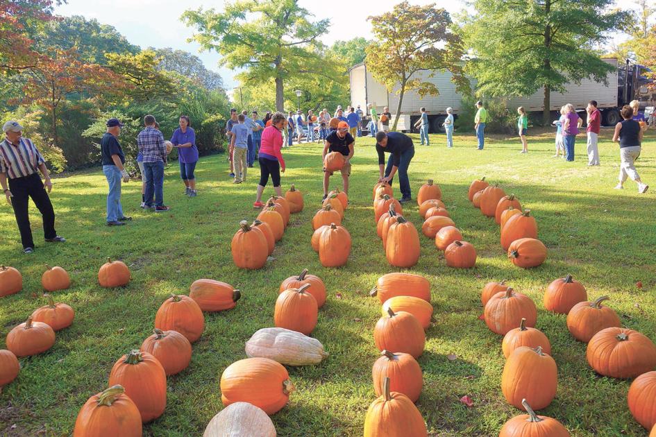 Pumpkin Patch In Martinsville Va
