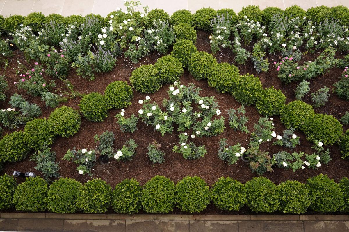 Photos An Up Close Look At The Newly Renovated White House Rose Garden National News Martinsvillebulletin Com