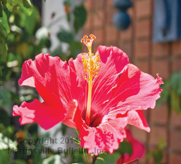 Picture perfect evening