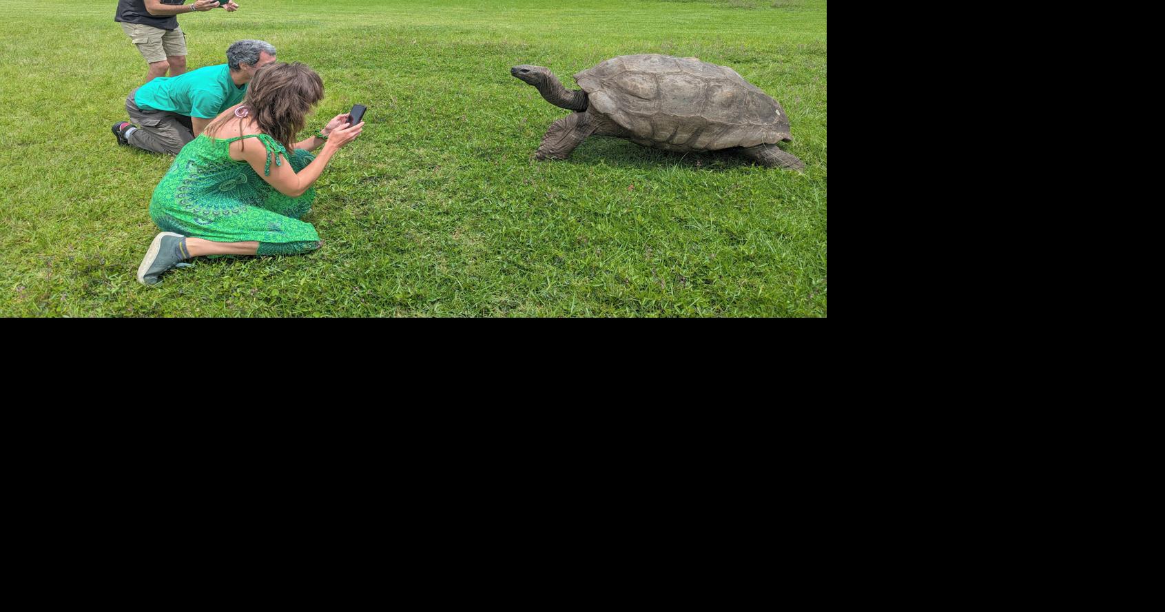 World's oldest known tortoise still very much alive despite rumor to the contrary