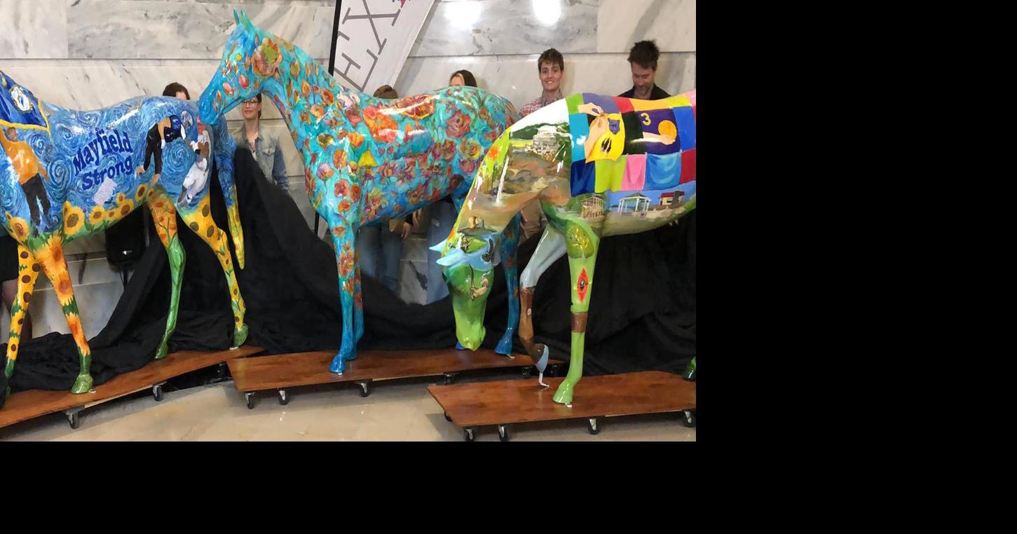 Western Kentucky students help with Commonwealth Compassion Horses of